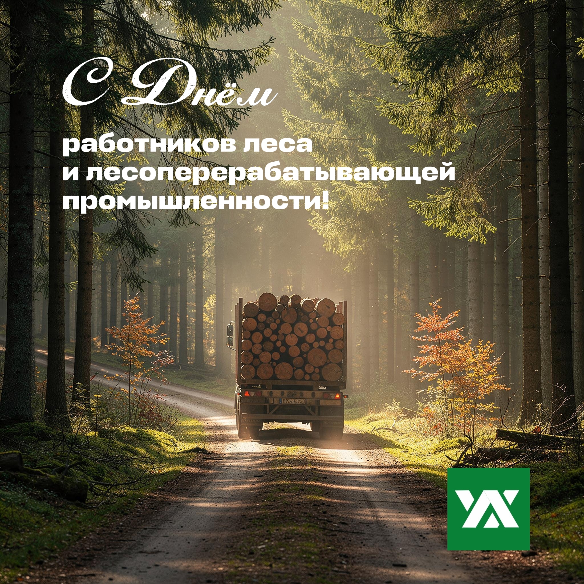 День леса